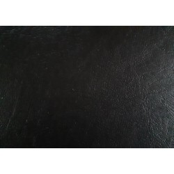 Panneau de porte