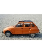 CITROËN DYANE